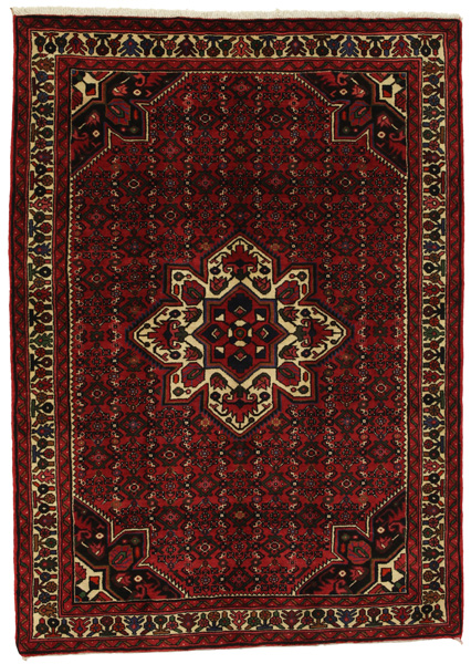 Borchalou - Hamadan Perser Teppich 219x156