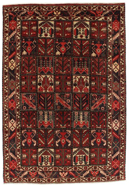 Bakhtiari - Garden