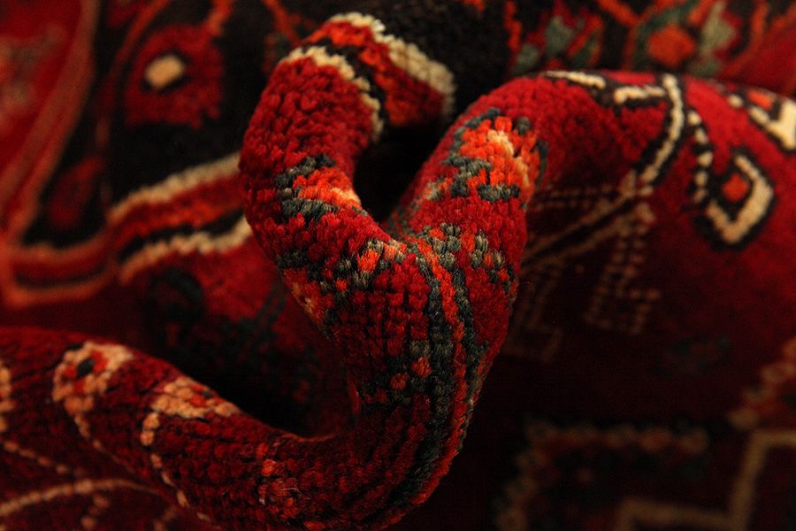 Qashqai - Shiraz Perser Teppich 243x154 - Abbildung 6