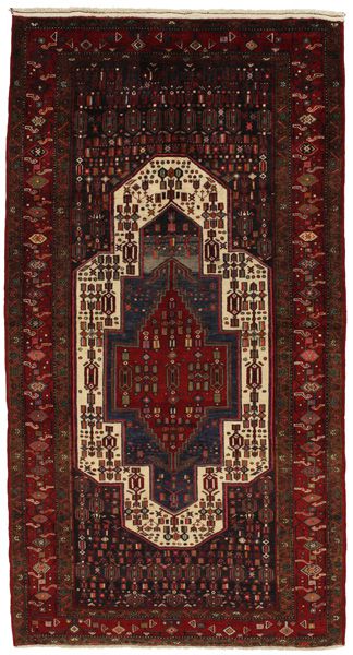 Tuyserkan - Hamadan Perser Teppich 300x160