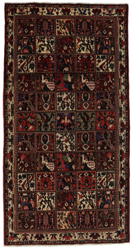 Teppich Bakhtiari Garden 300x156