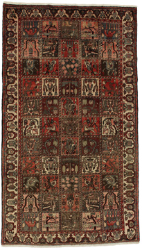 Teppich Bakhtiari Garden 290x167
