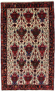 Teppich Afshar Sirjan 263x155