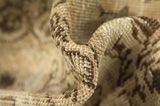 Tabriz - Patina Perser Teppich 333x245 - Abbildung 7
