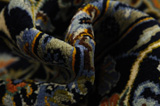 Tabriz Perser Teppich 398x297 - Abbildung 7