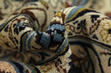 Keshan Perser Teppich 406x287 - Abbildung 7