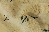 Gabbeh - Qashqai Perser Teppich 158x102 - Abbildung 7