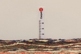 Lilian - Sarough Perser Teppich 290x100 - Abbildung 8