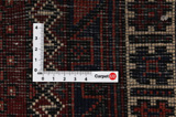 Afshar - Sirjan Perser Teppich 243x150 - Abbildung 4