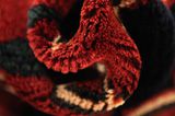 Lori - Bakhtiari Perser Teppich 208x144 - Abbildung 7