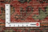 Songhor - Koliai Perser Teppich 332x110 - Abbildung 4